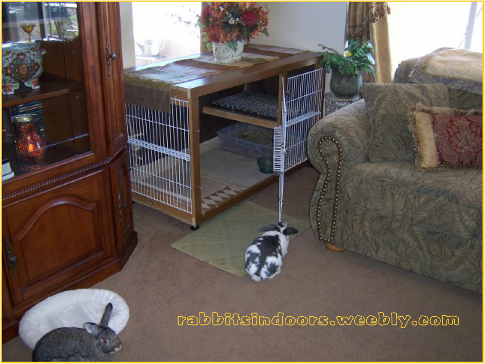 indoor cages - rabbits indoors